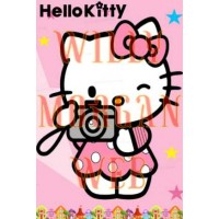 Sanrio Kitty 5
